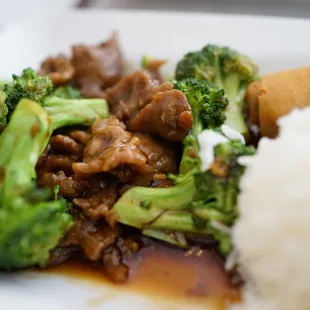 Beef and Broccoli Lunch Special