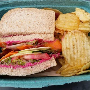 Rainbow veggie sandwich, colorful and delicious!