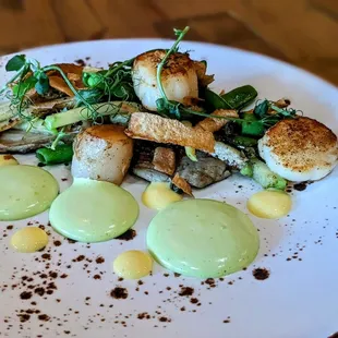 Scallops