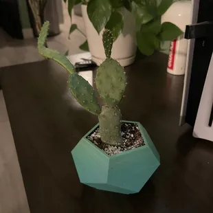 3D printed pot