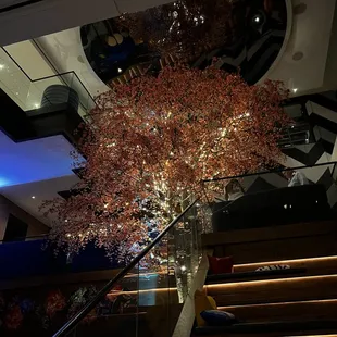 The stairs of The Living Room.