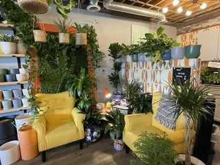 The Living Room