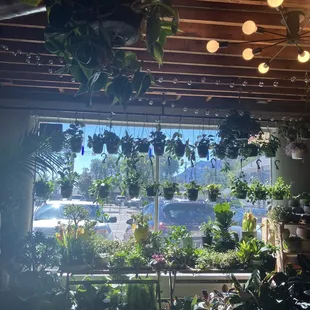 Part of their collection