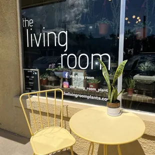 Another little green snake plant friend with a new ceramic pot.