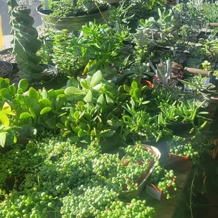 Clearly I like this section