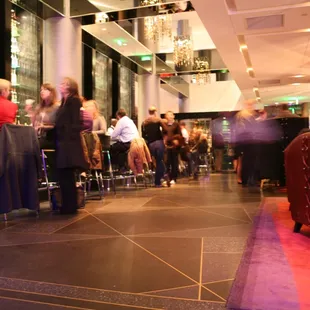 people sitting at the bar