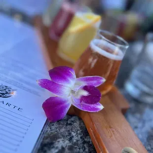 Mimosa flight