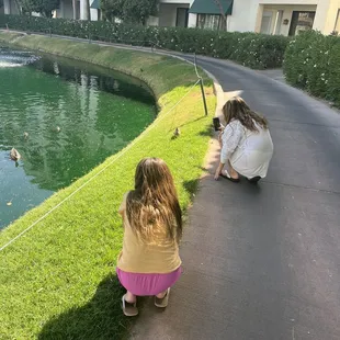 Baby ducks by the pond! So cute!