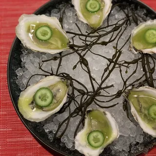 OYSTER