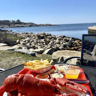 1 1/4 lobster freshly caught this morning!