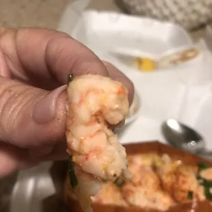 Clawed Maine Lobster