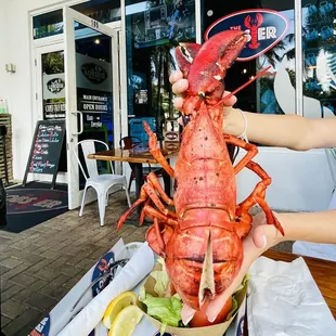 Lobster 2.5lb