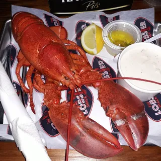 Live Maine Lobster