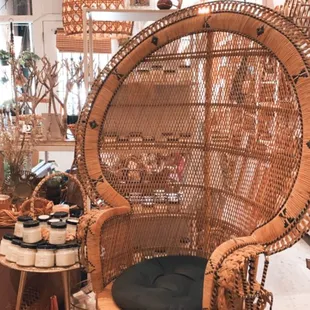 Peacock chair rentals