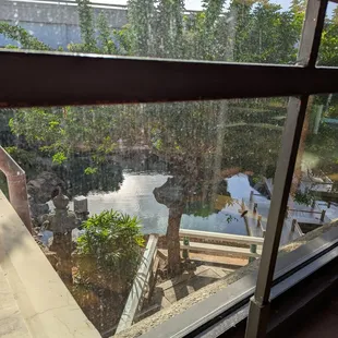 View of Japanese garden while eating