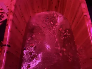 Bierbath