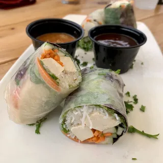 Rainbow Spring Roll