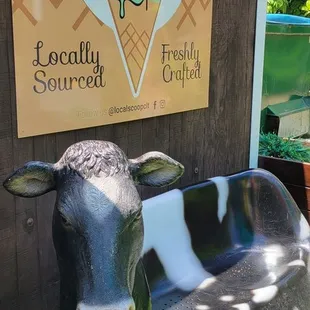 Cow bench