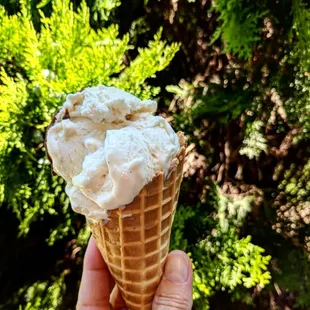 a hand holding a cone of ice cream