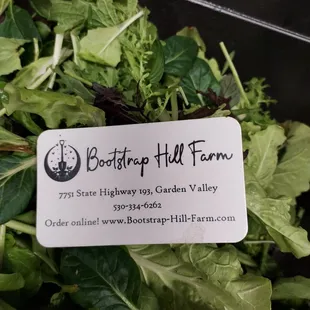 Fresh greens from Bootstrap Hill Farms are used in salad.