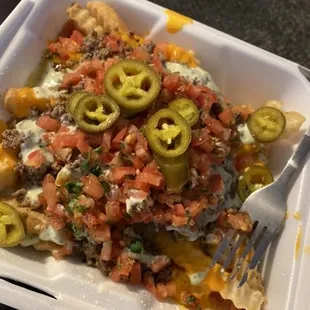 Loaded fries