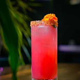 Try our Hibiscus Paloma!