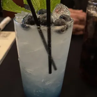 Blueberry Oasis