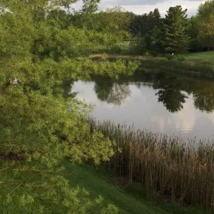 View from our balcony