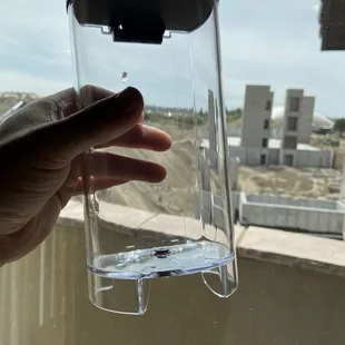 The coffee maker we almost used before discovering a hair stuck in the valve.