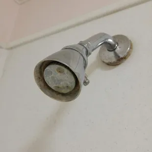 Shower head inside room.
