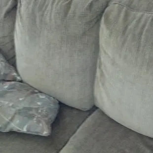 Dirty and smelly couch