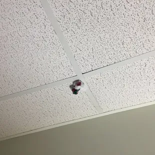Second plastic bag in the ceiling