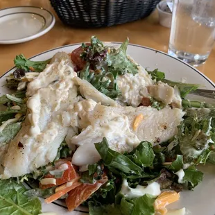 Grilled catfish over Two side salads