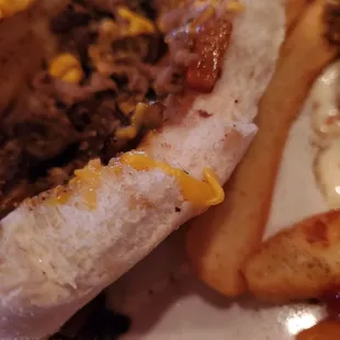 Cheese steak &amp; steak fries!