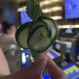 Cucumber Floret