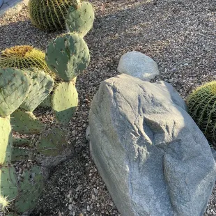 Beautiful landscaping!