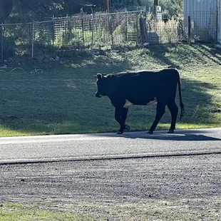 Log Cabin Restaurant drive slow for the wildlife the most  picturesque beautiful serene Restaurant located inside the Gila Forest.