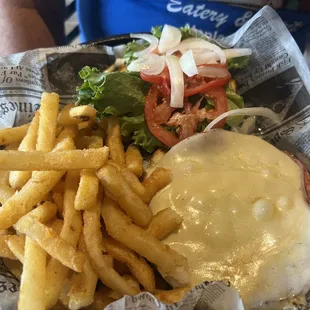 Bavarian Ham and provolone sandwich, classic fries,