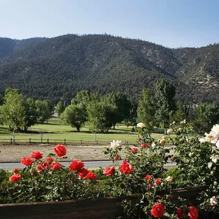 Golf course in the village center...
