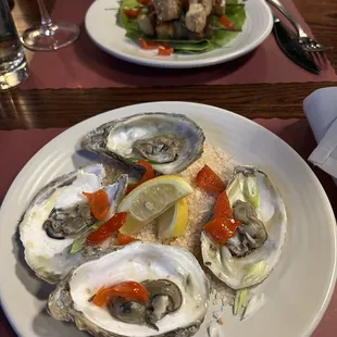 Oysters