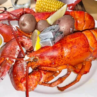 Maine Lobster, Potatoes, Corn on Cob &amp; Butter