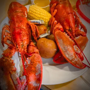 Lobster Fest