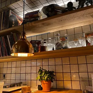 a shelf with a potted plant