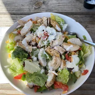 Grilled Chicken Salad