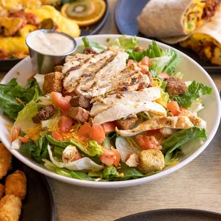 a plate of chicken salad with tater tots and tater tots