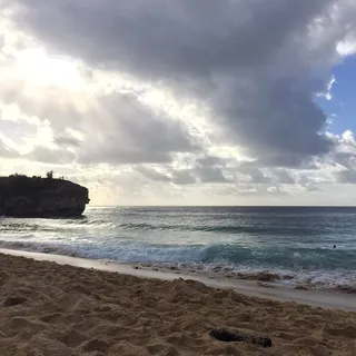 T L.