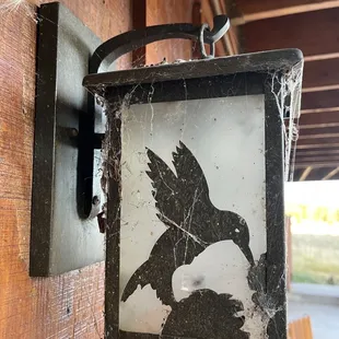 Outside night light covered in cobwebs