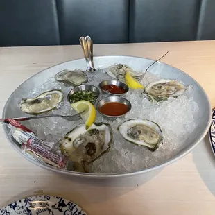 Oysters