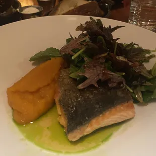 Salmon