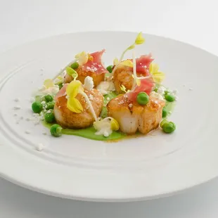Scallops